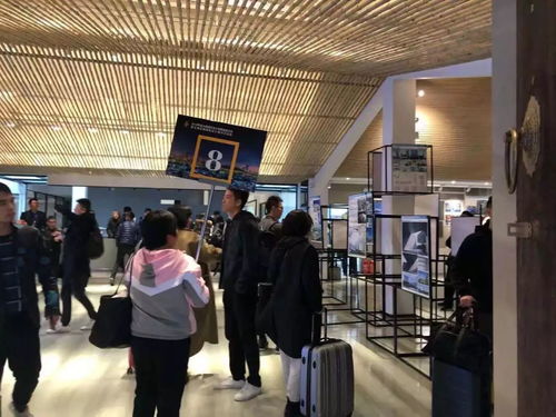 文投会务丨2019年度全国建筑设计创新创优大会暨全国优秀建筑设计展示交流会后勤保障工作圆满完成