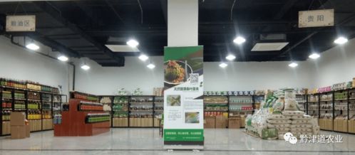 贵州户户达 以农产品展示体验中心为桥，守护家乡风味，服务会务展览